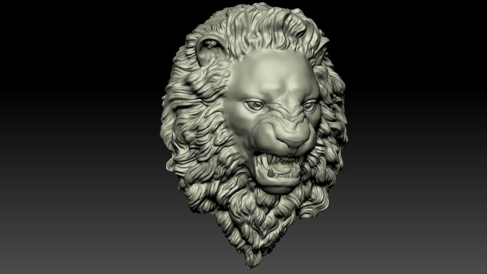 Lion Head Relief  3D Print Model 3D print model_34