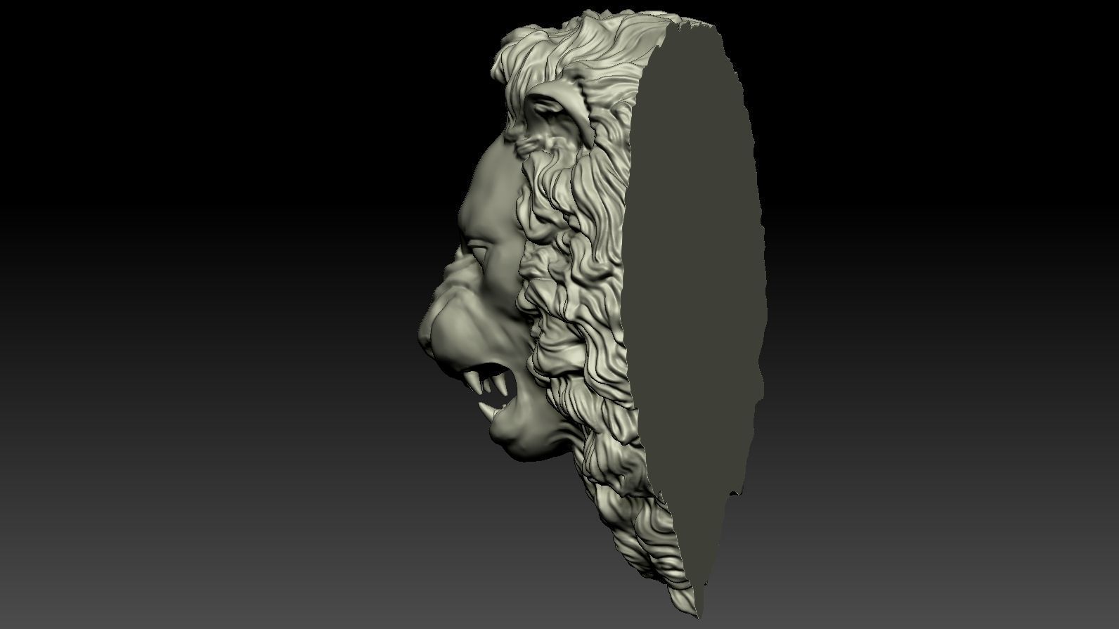 Lion Head Relief  3D Print Model 3D print model_2