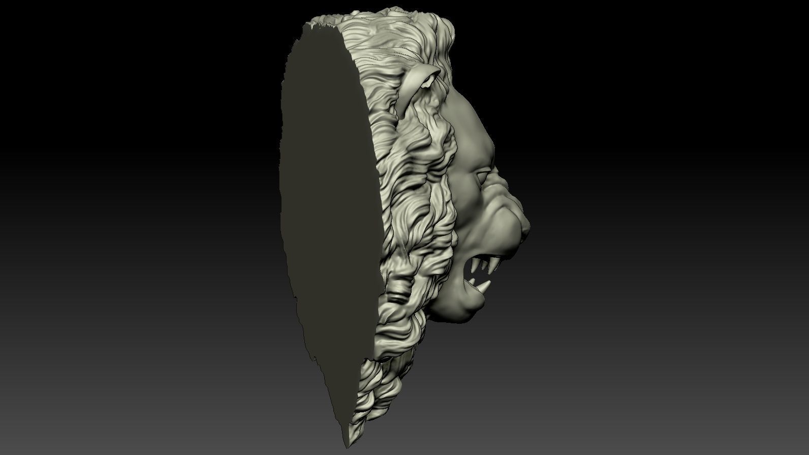 Lion Head Relief  3D Print Model 3D print model_4