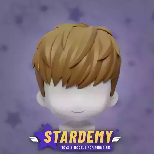 CUSTOM HAIR NENDOROID ORIGINAL CHIBI LUKE STARDEMY 3D print model