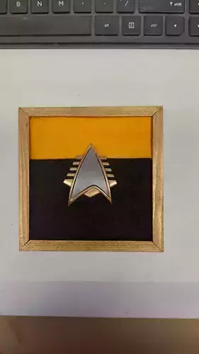 Star Trek Badge 3D print model