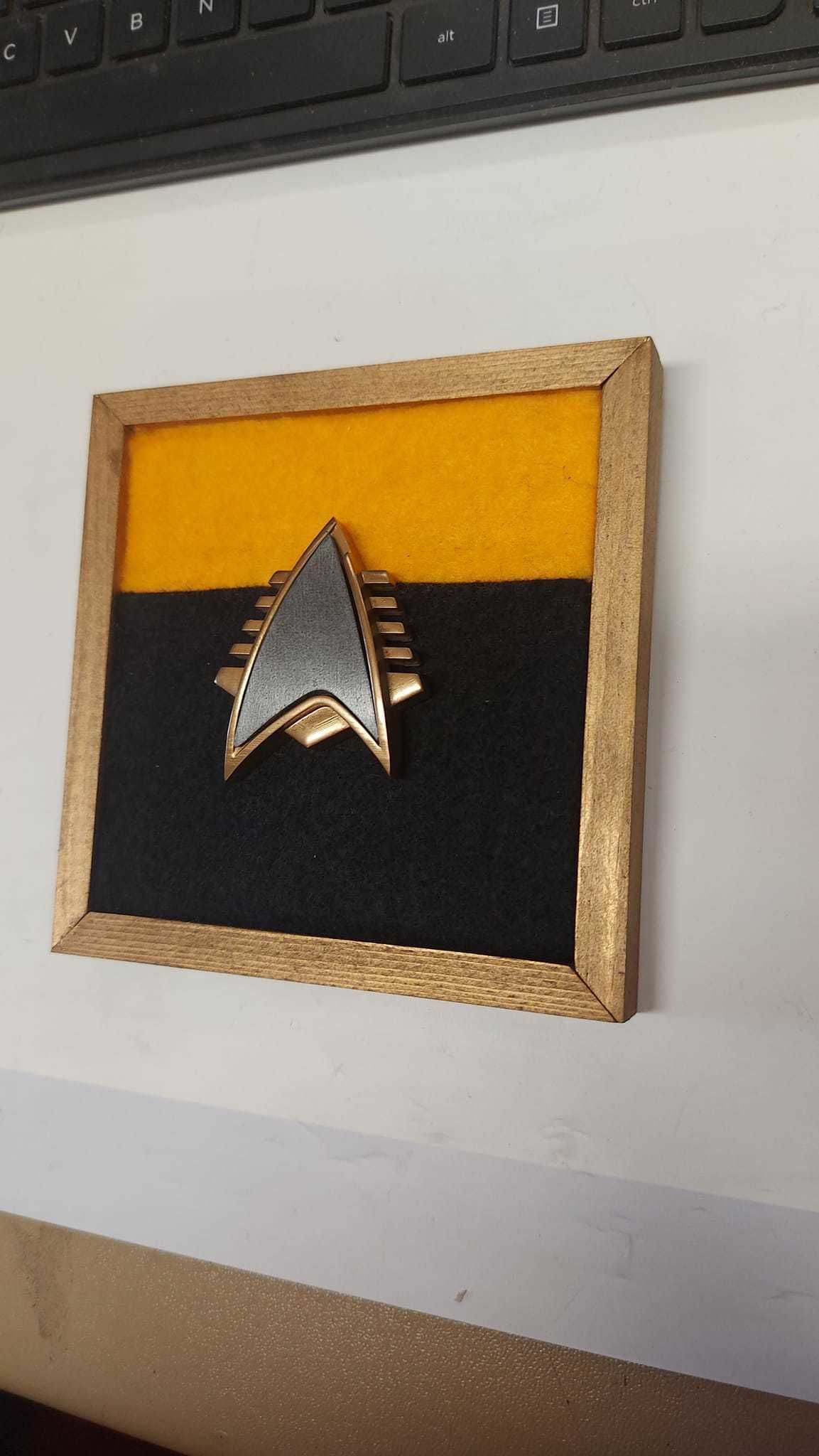 Star Trek Badge 3D print model_1