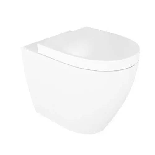 Tankless White Ceramic Toilet Bowl 3D model_0