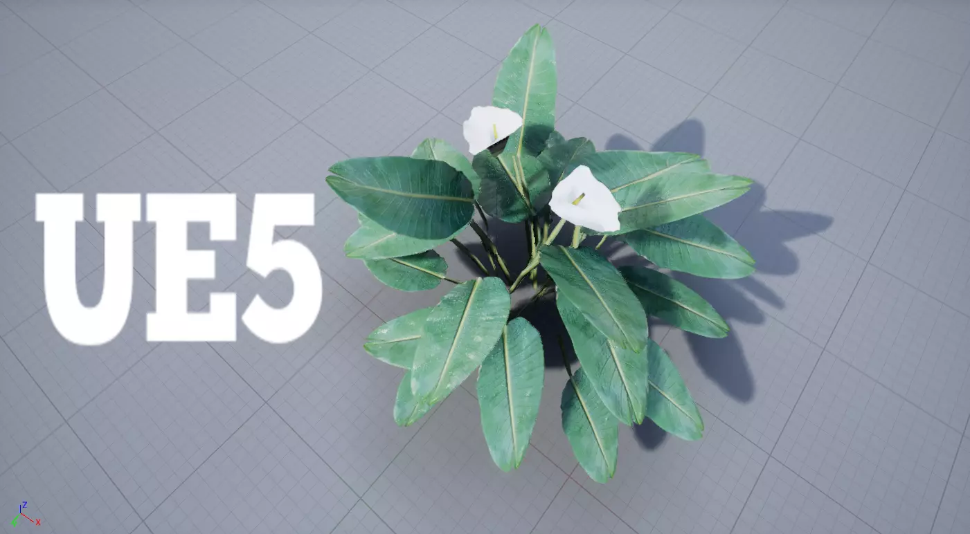 Calla Lily Zantedeschia Copo Leite Flower PBR Lowpoly Low-poly 3D model