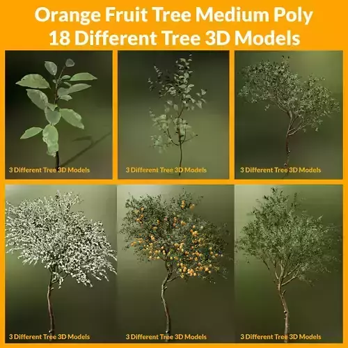 Orange fruit tree Low Poly 18 Different Tree 3D Models Low-poly 3D model