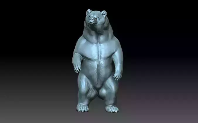 The bear is standing