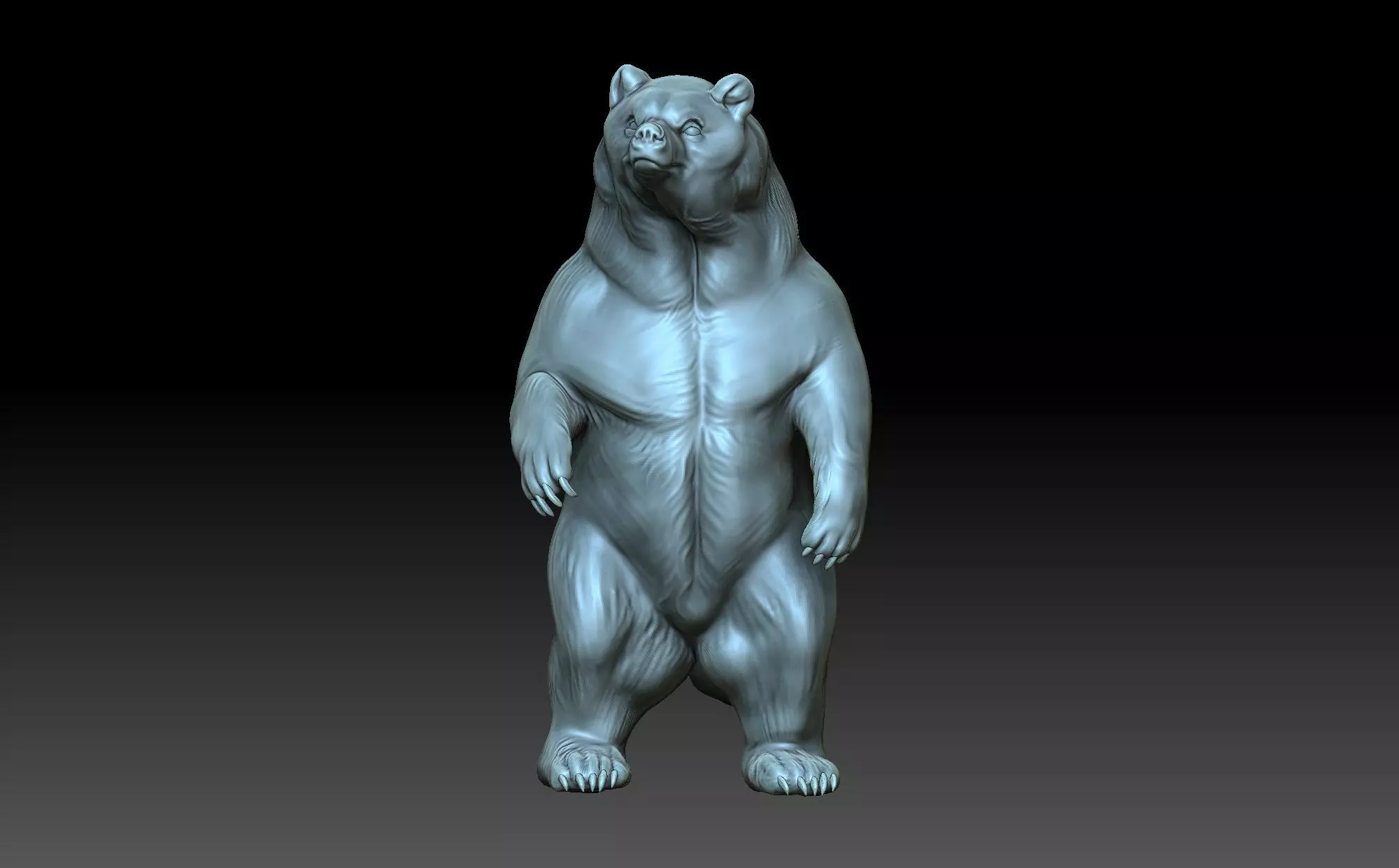 The bear is standing 3D print model