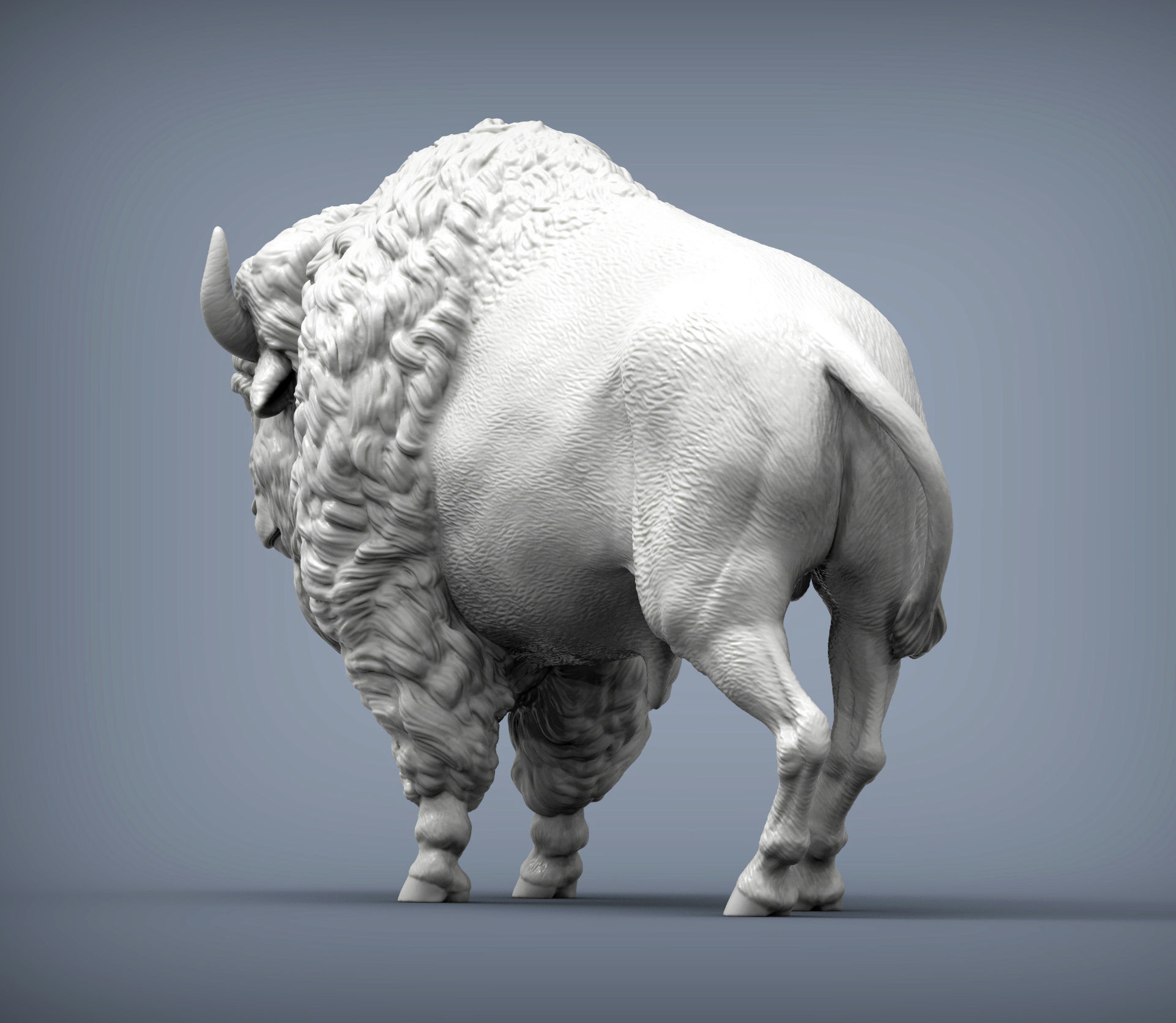 Bison 3D print model_3