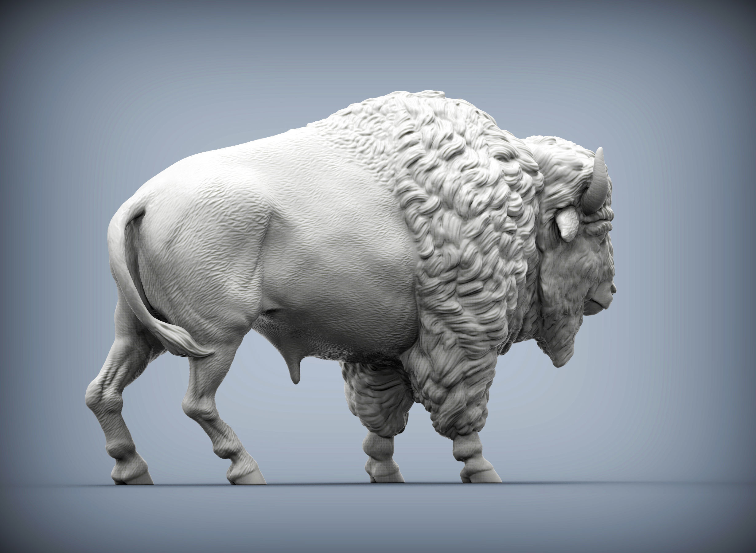 Bison 3D print model_5