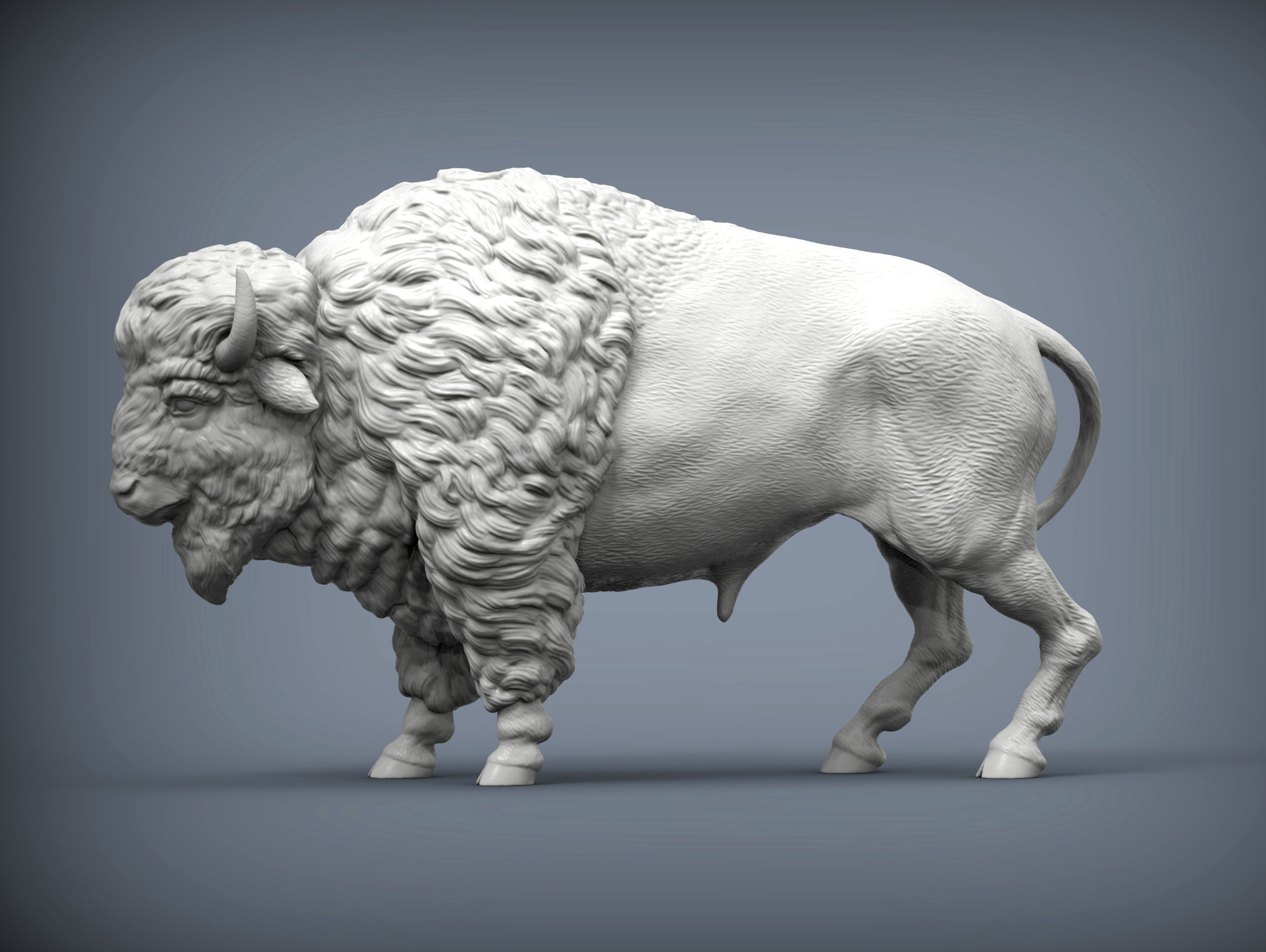 Bison 3D print model_1