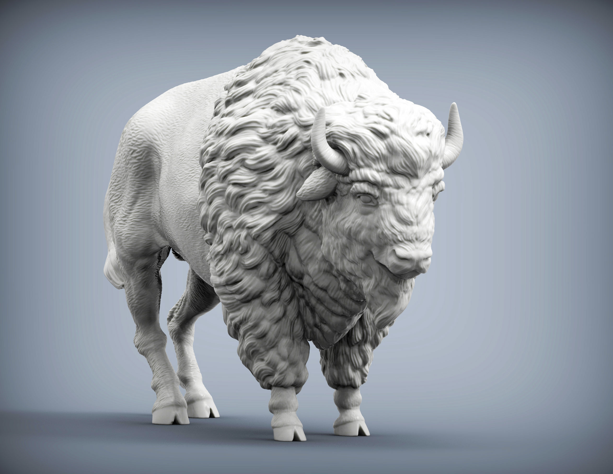 Bison 3D print model_2