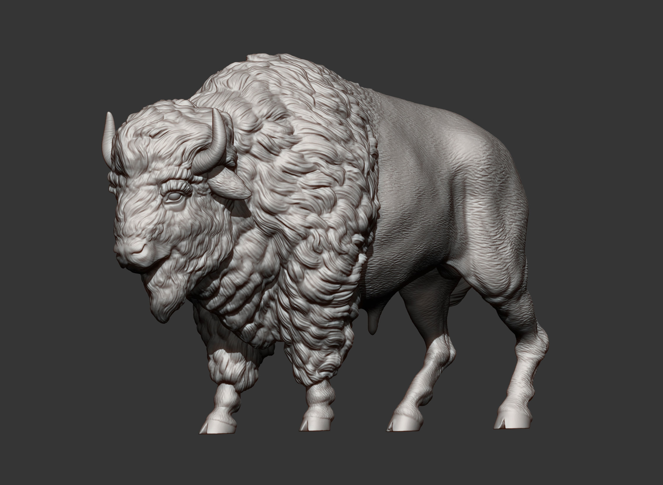Bison 3D print model_7
