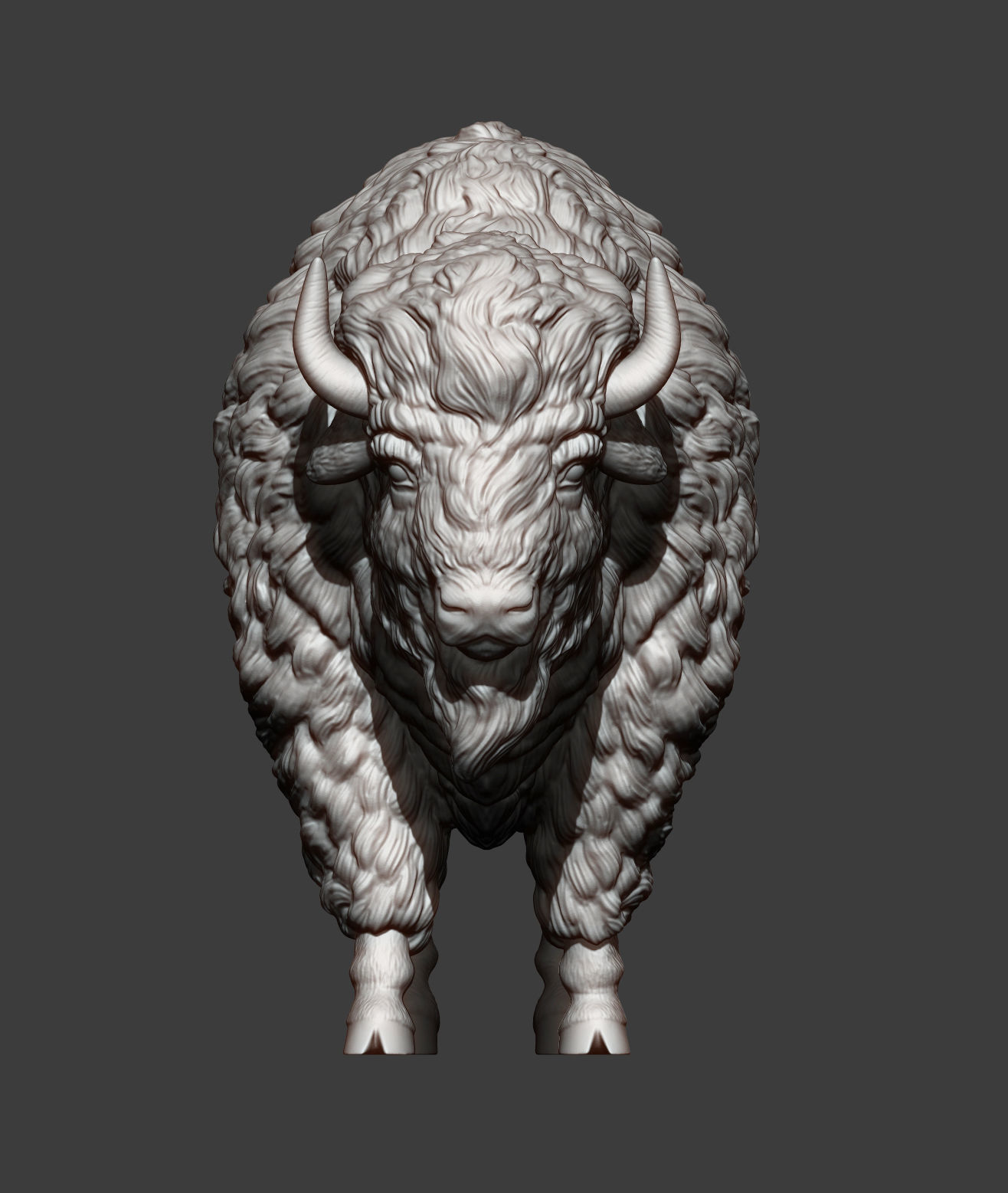 Bison 3D print model_11
