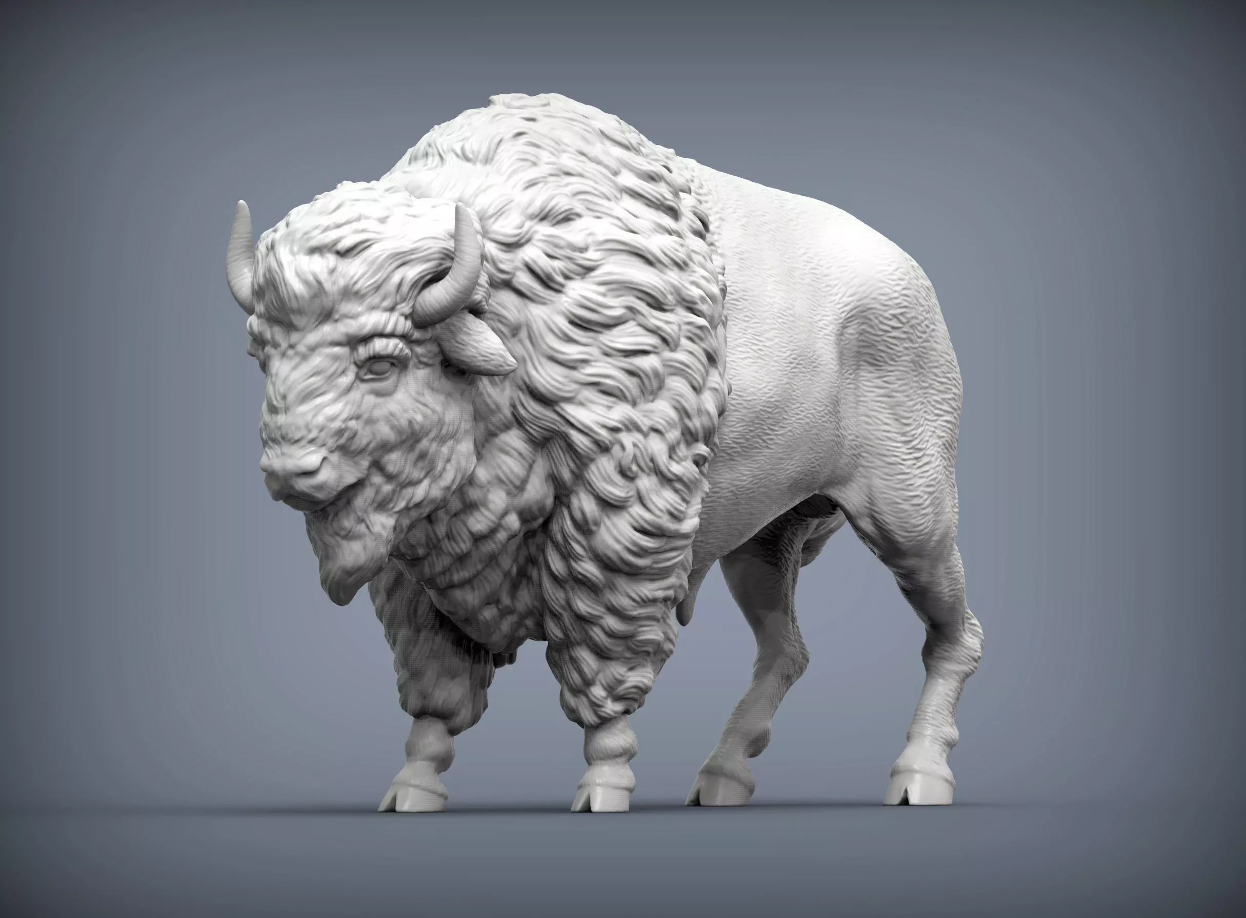 Bison 3D print model_0