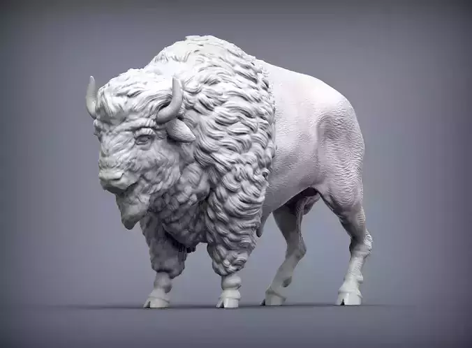 Bison 3D print model