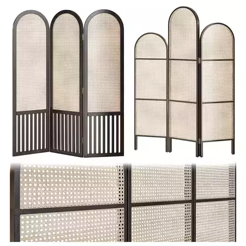 cane partition 3D model