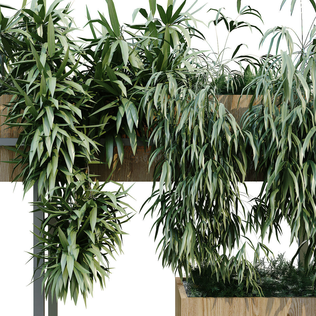 vertical plant in box set 239 3D model_3