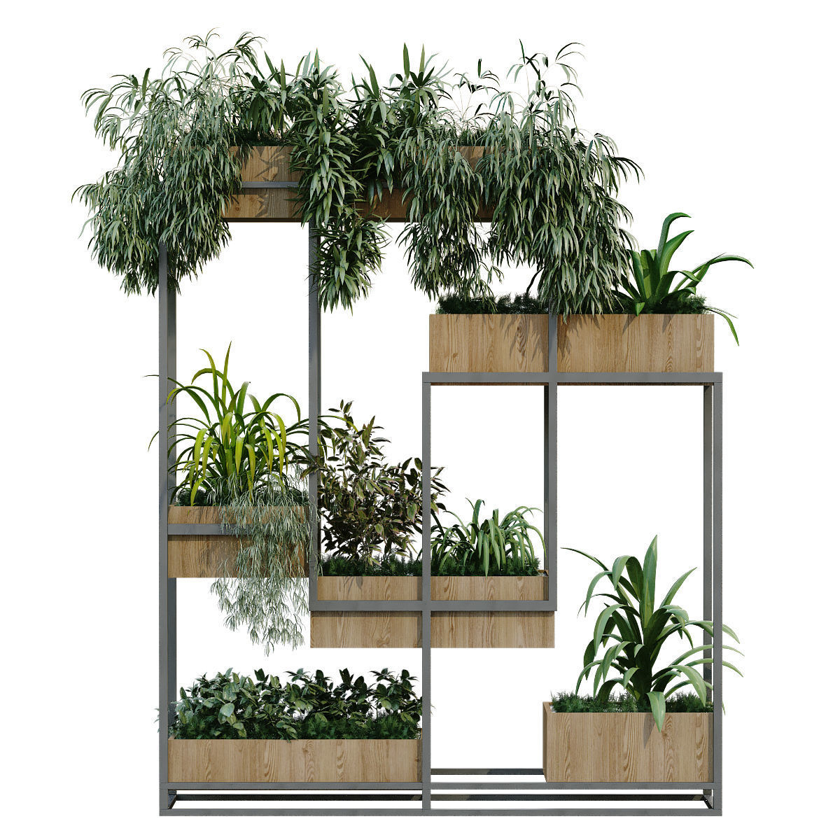 vertical plant in box set 239 3D model_1