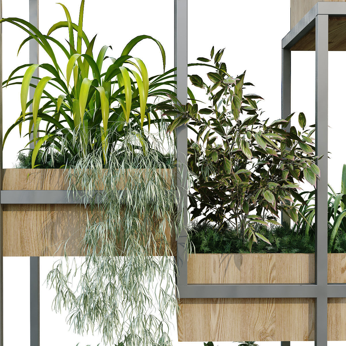 vertical plant in box set 239 3D model_4