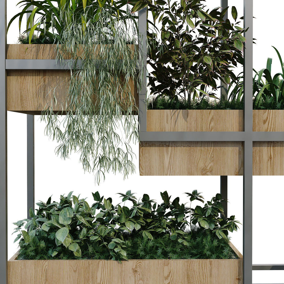vertical plant in box set 239 3D model_5