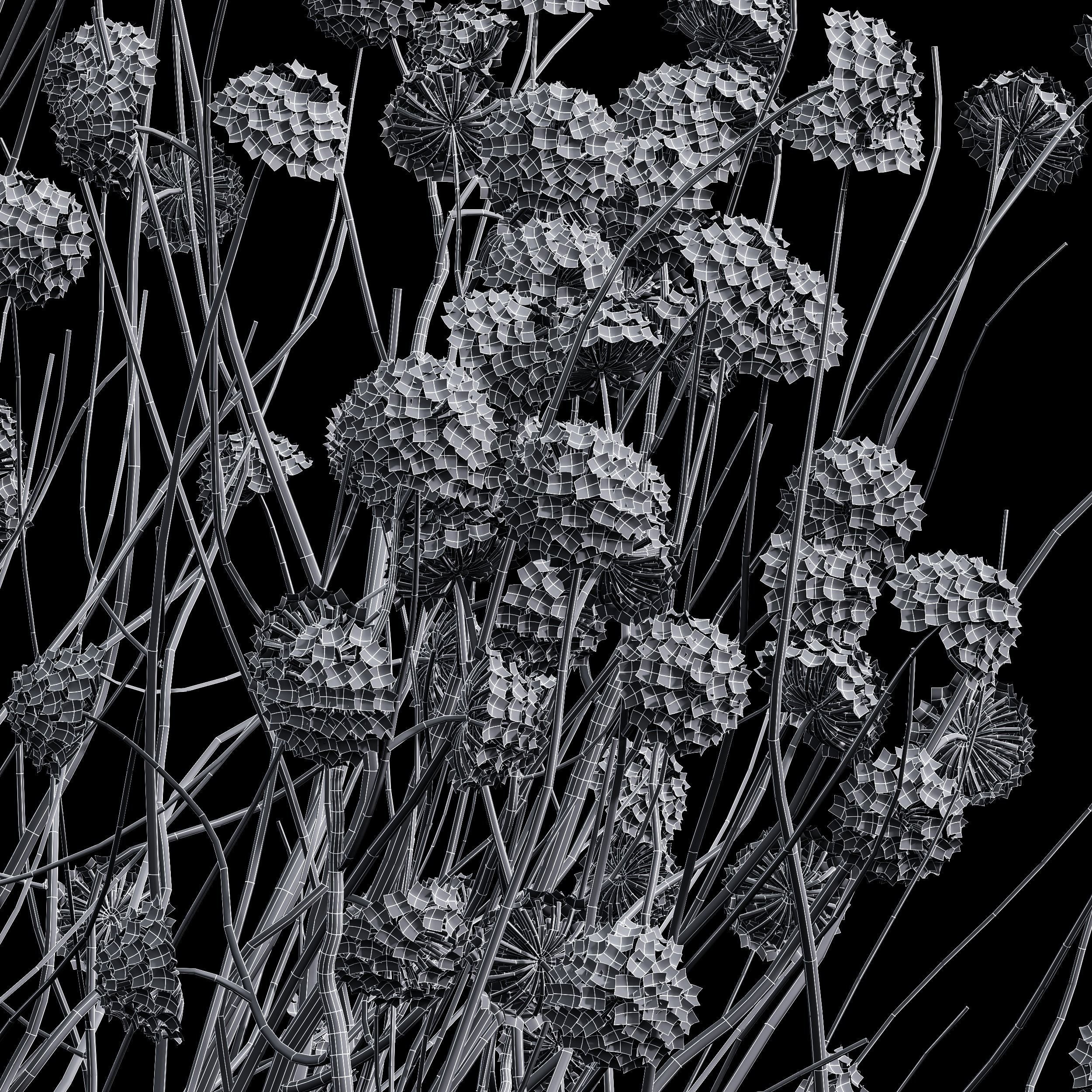 New Plant Highdetail Edgeworthia Chrysantha Paperbush Bush 3D model_3