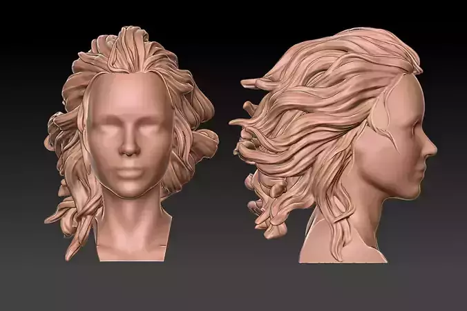 hair 31 3D print model