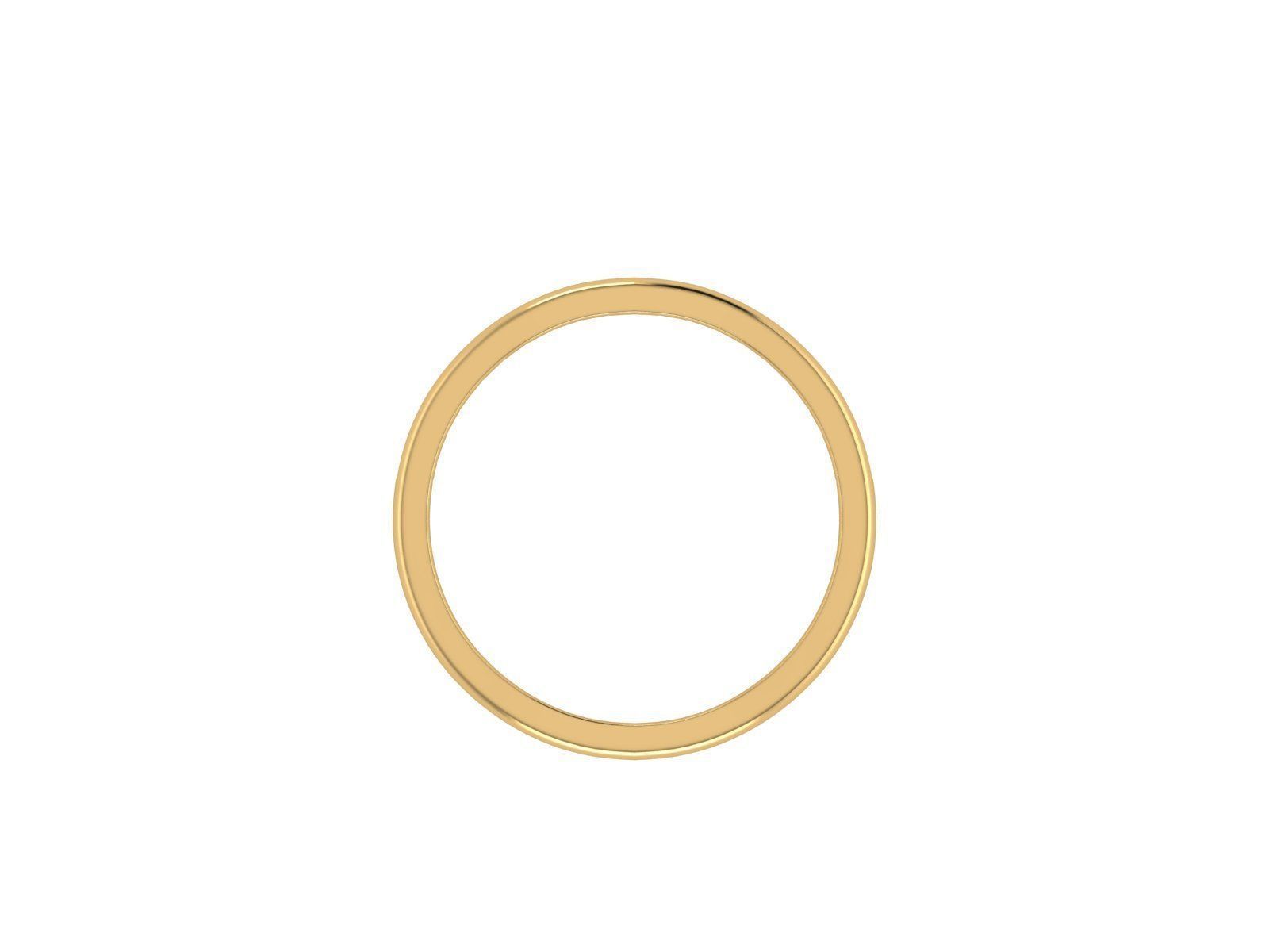 ring 10041 3D print model_3