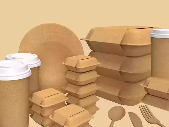 Eco-Friendly Dishes and Food Packagings - Resistent Cardboard