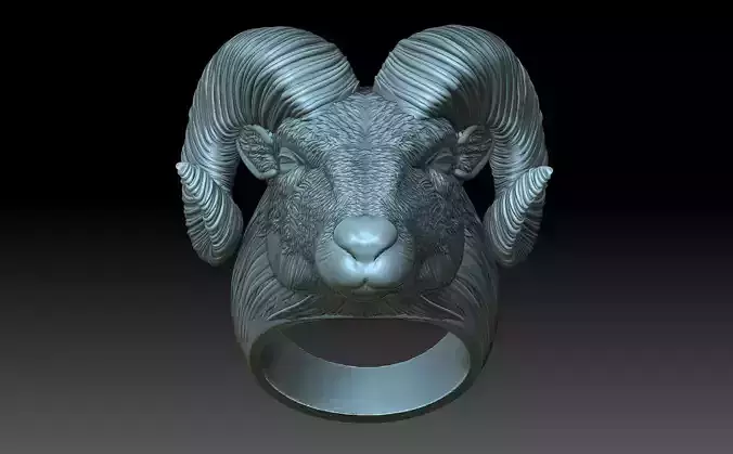 Ram Ring