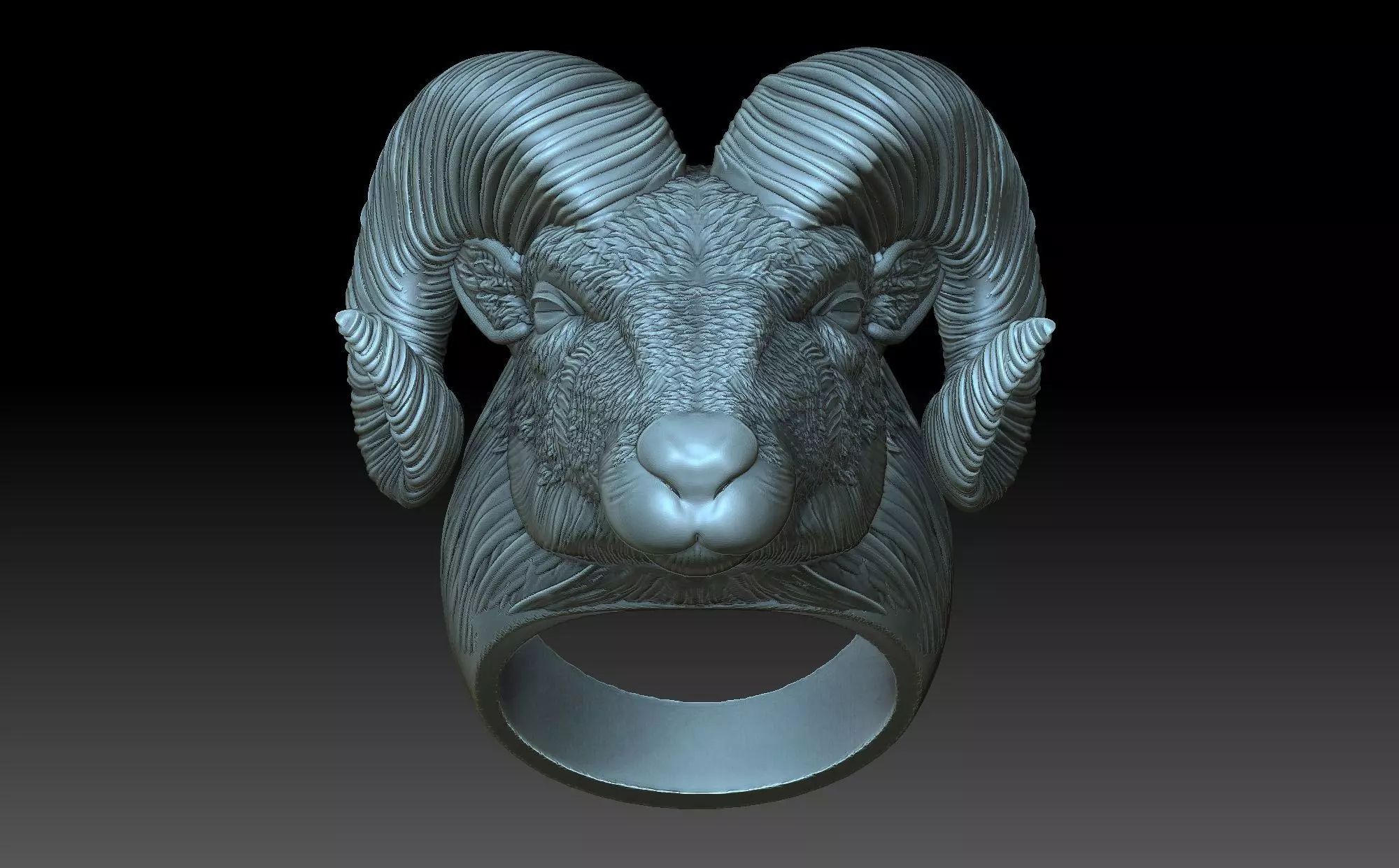 Ram Ring 3D print model