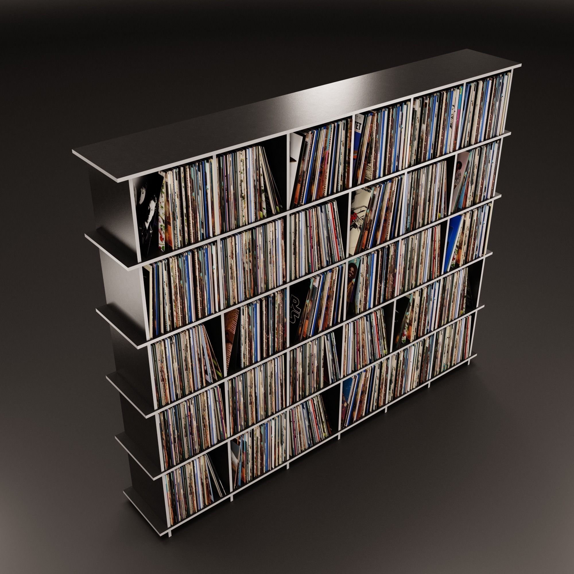 Vinyl Storage No42 3D model_5