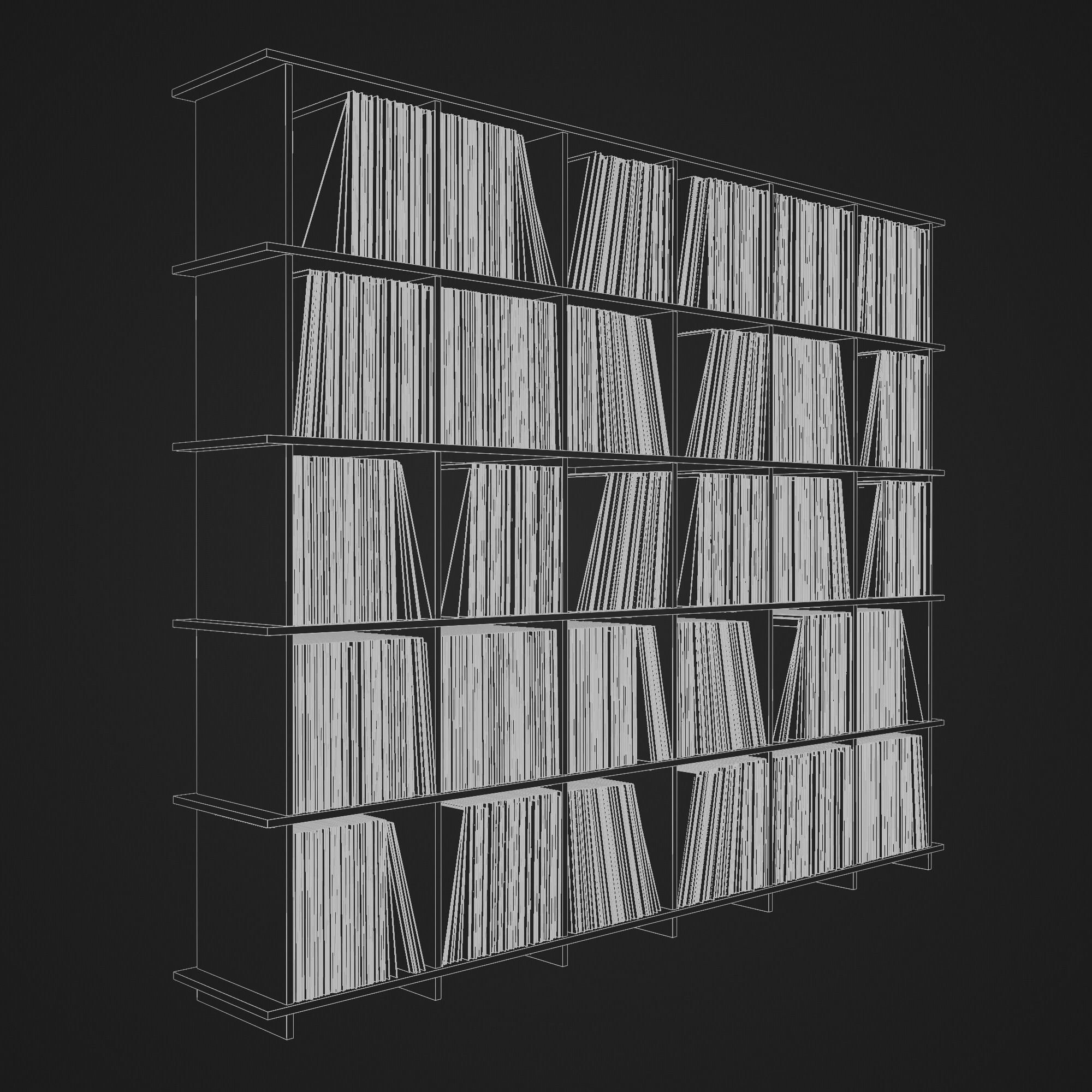 Vinyl Storage No42 3D model_15