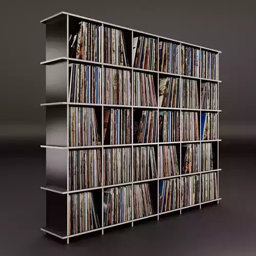 Vinyl Storage No42 3D model