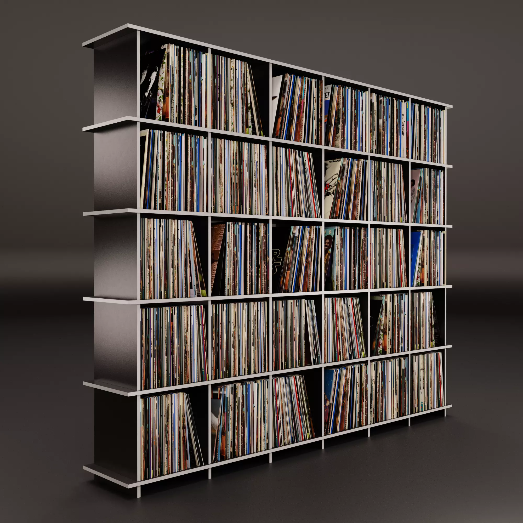 Vinyl Storage No42 3D model_0