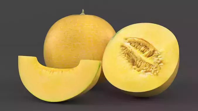 Melon 3D model