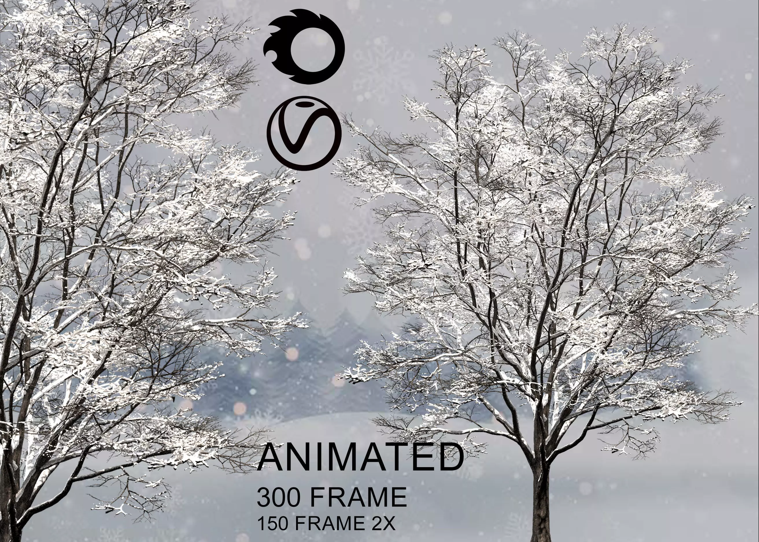 ENGLISH WALNUT snowy animate 3D model_0