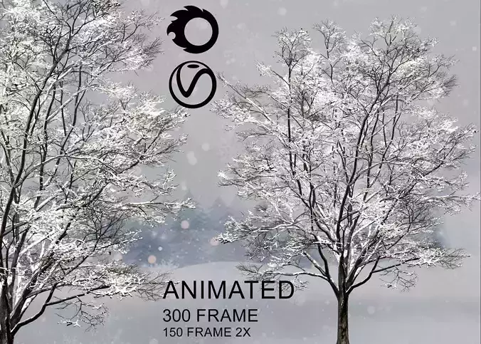 ENGLISH WALNUT snowy animate 3D model