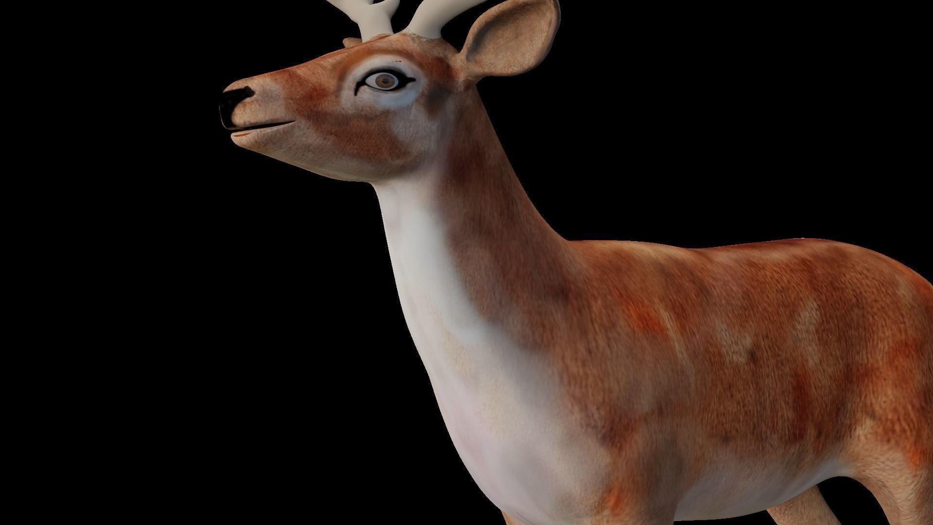 INDIAN DEER Low-poly 3D model_5