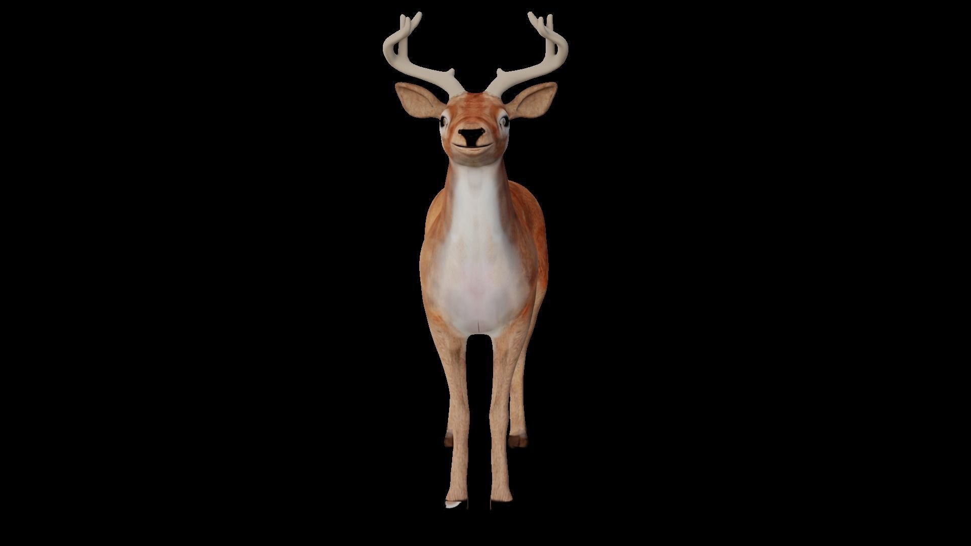 INDIAN DEER Low-poly 3D model_4