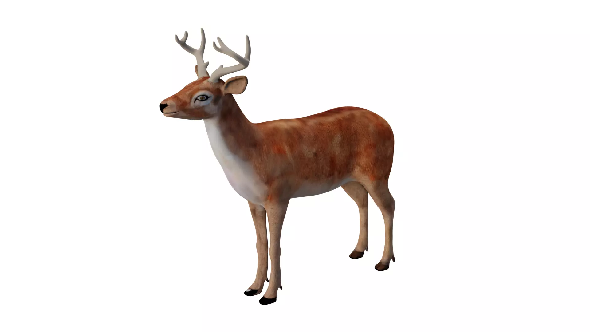 INDIAN DEER Low-poly 3D model_0