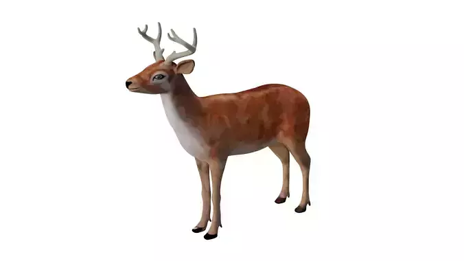 INDIAN DEER Low-poly 3D model