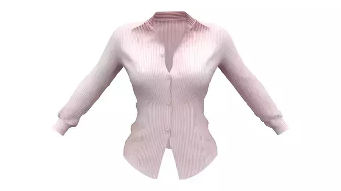 Ladies Long Sleeve Shirt