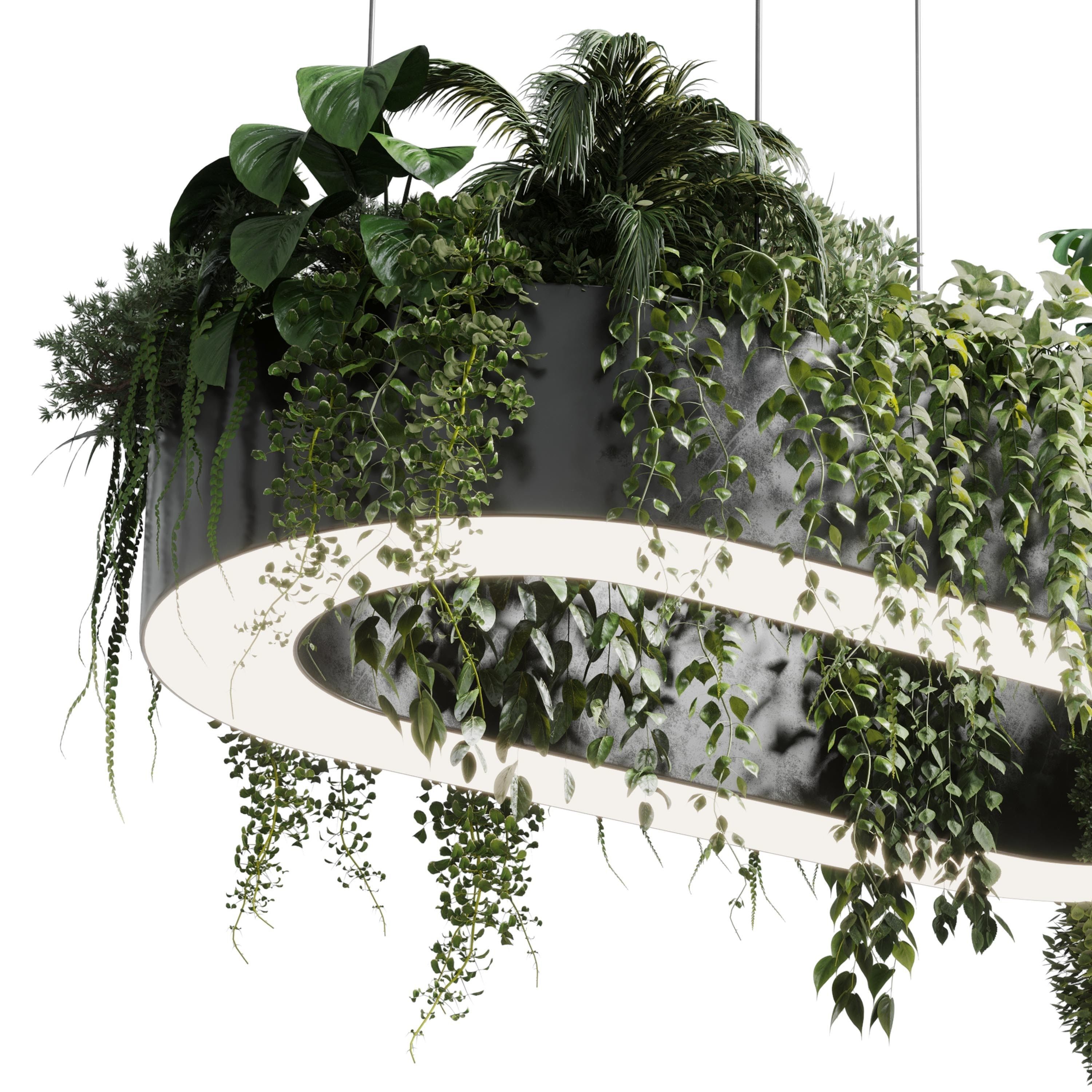 pot light - pendant plant light hanging 05 3D model_2