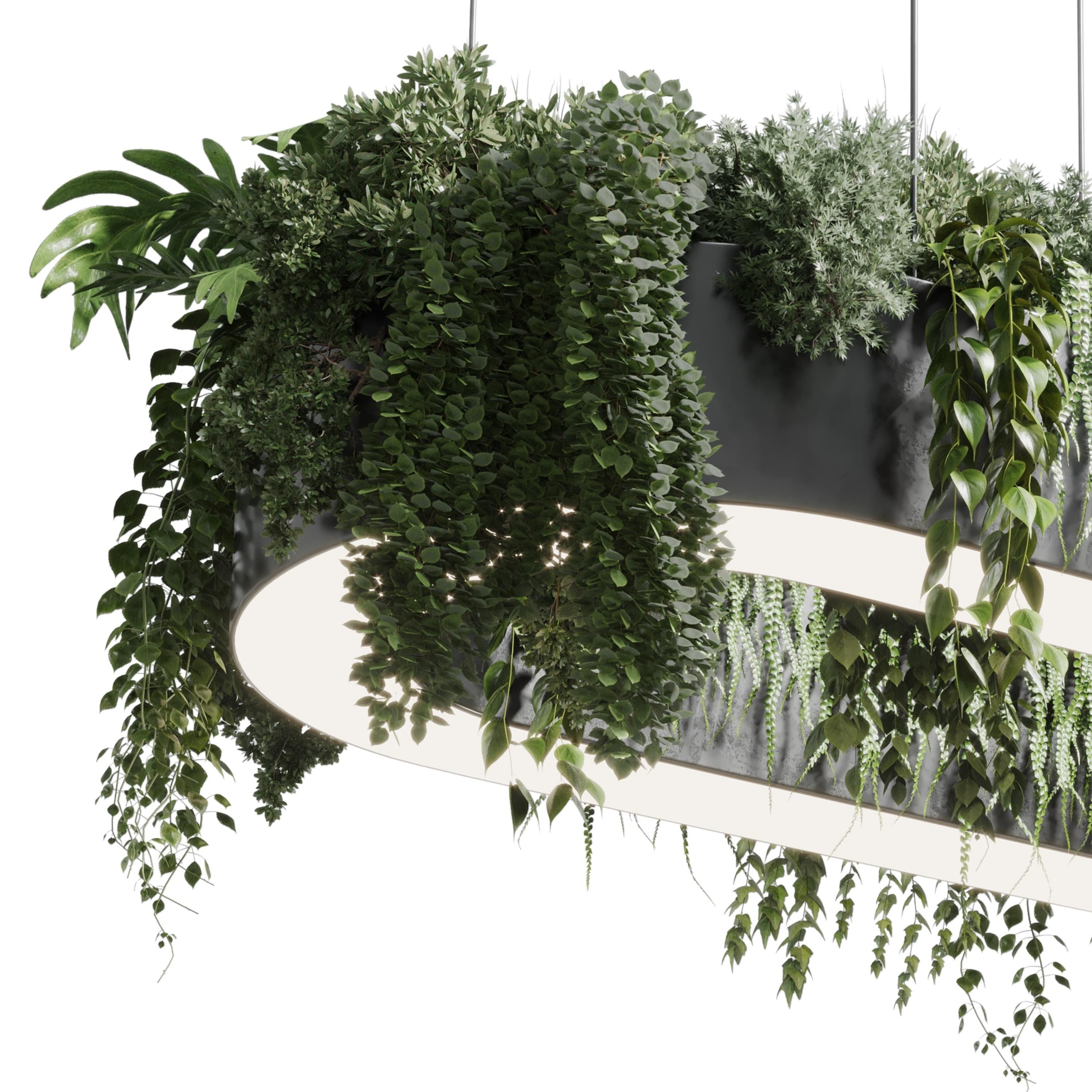 pot light - pendant plant light hanging 05 3D model_4