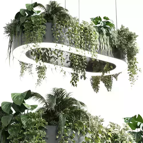 pot light - pendant plant light hanging 05 3D model