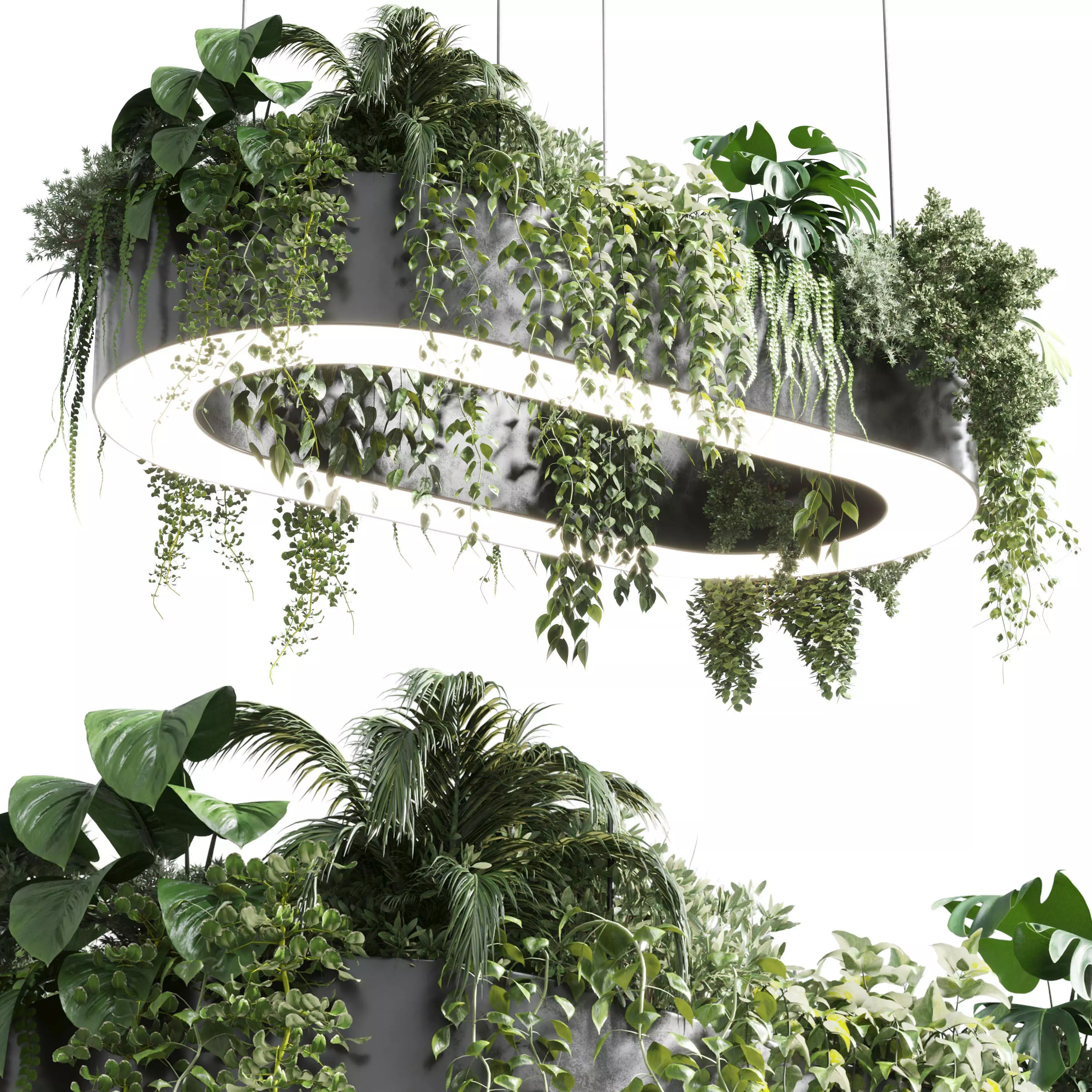 pot light - pendant plant light hanging 05 3D model_0