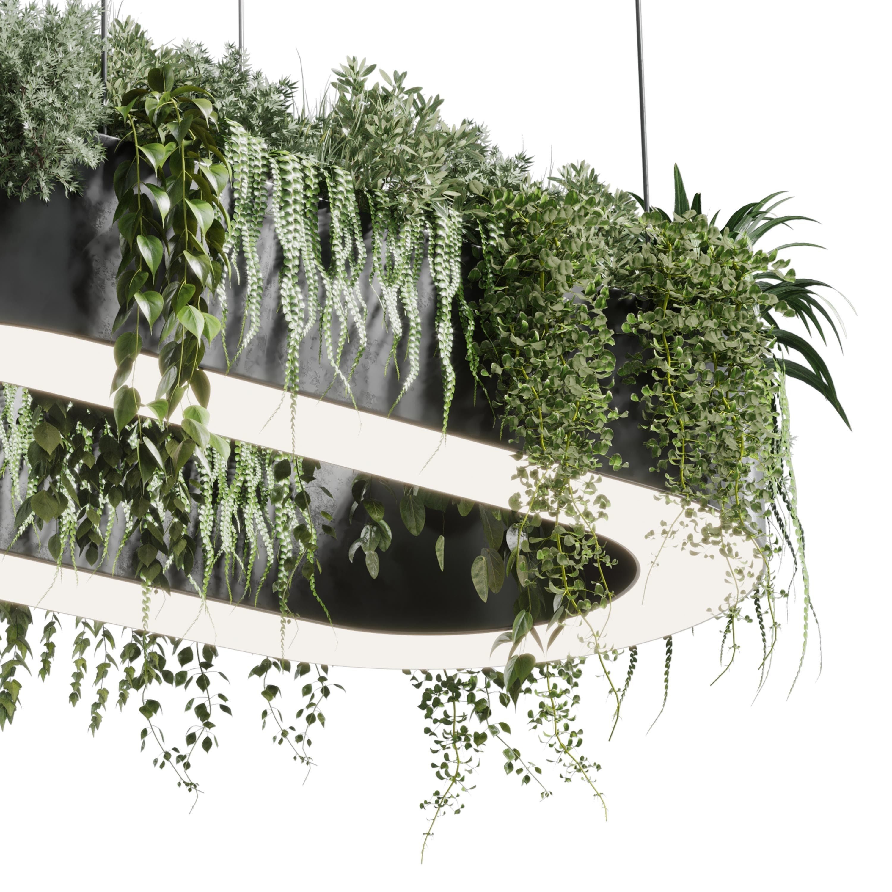 pot light - pendant plant light hanging 05 3D model_5