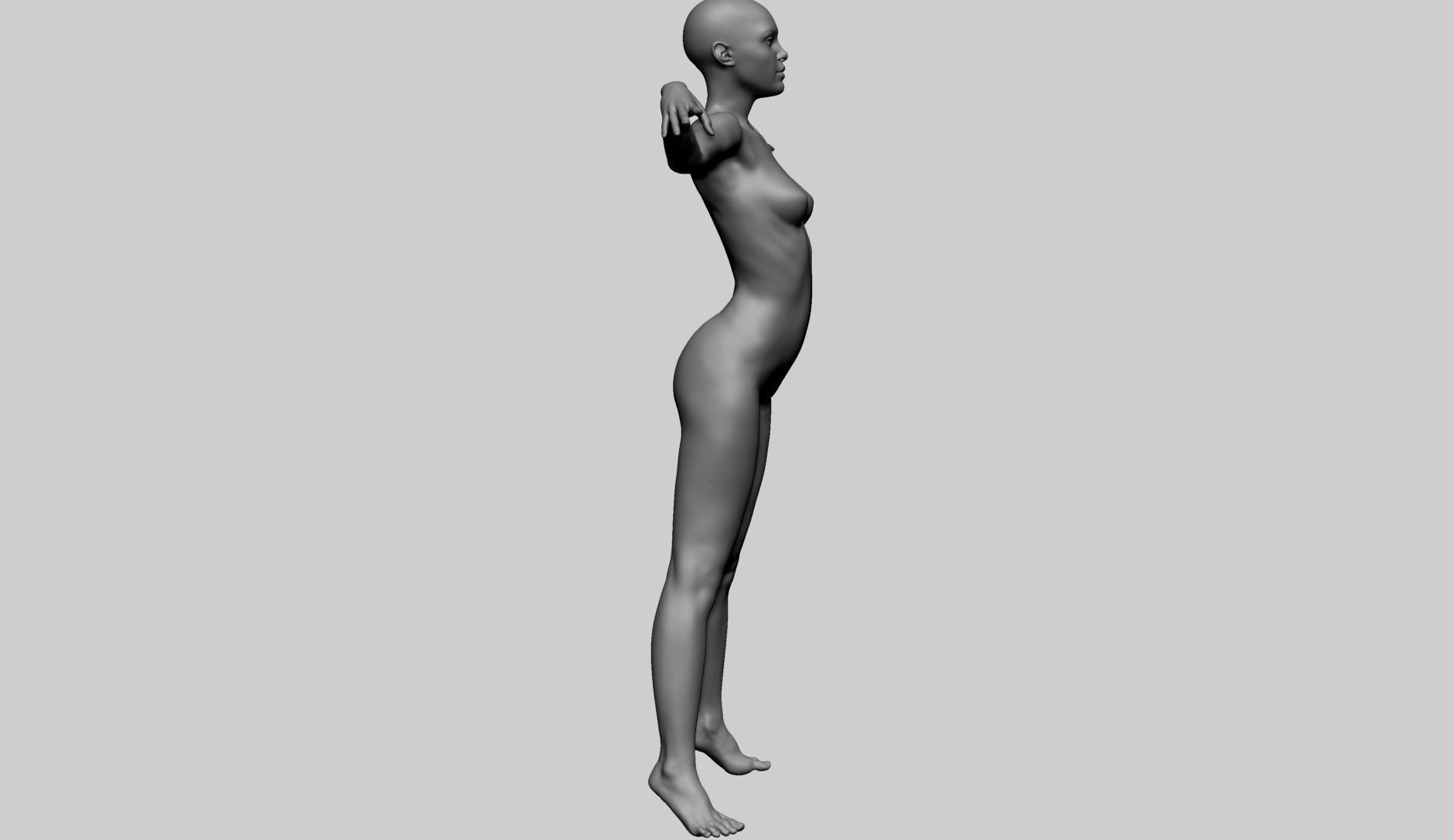 Female Anatomy A 3D model_3