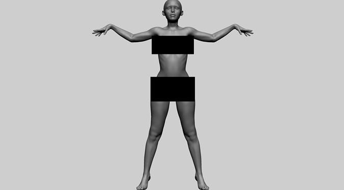 Female Anatomy A 3D model