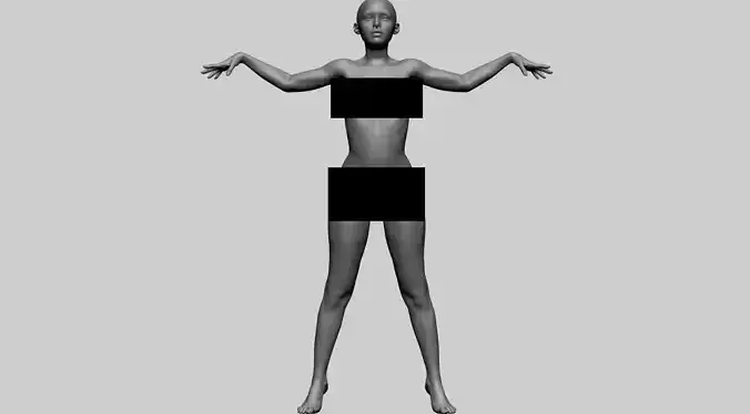 Female Anatomy A 3D model